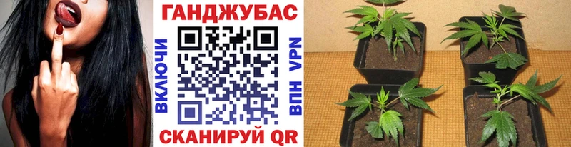ГАШИШ Воркута