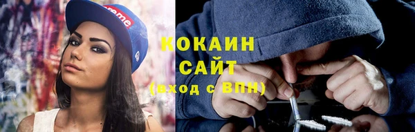 бошки Белокуриха