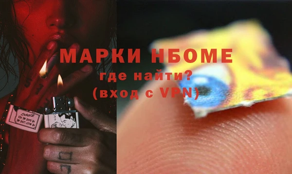 бошки Белокуриха