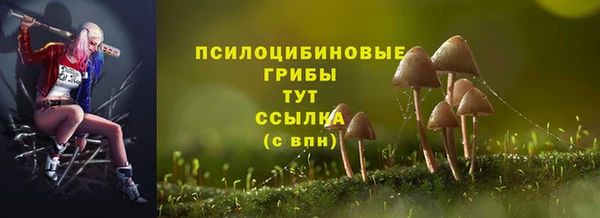 PSILOCYBIN Сосновый Бор