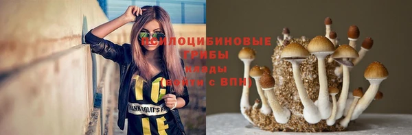 амф Балахна