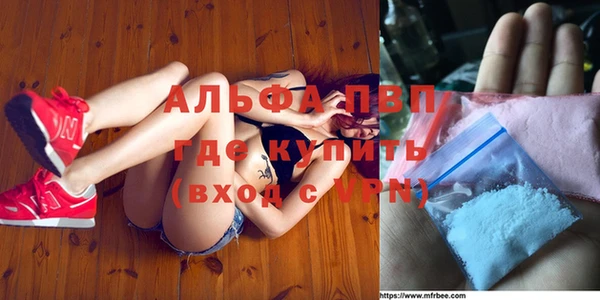 бошки Белокуриха