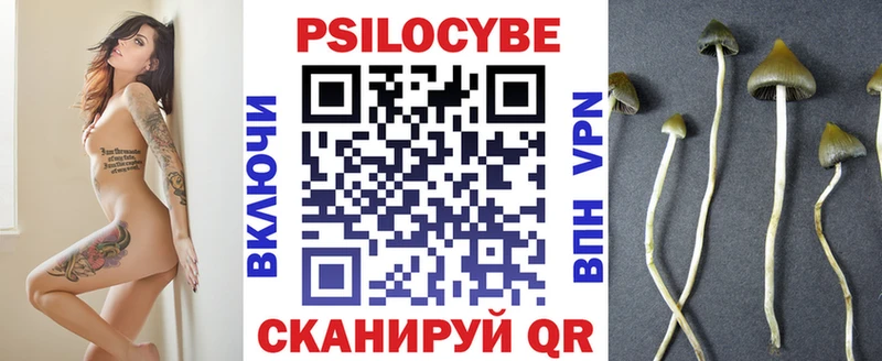 Псилоцибиновые грибы Psilocybe Воркута