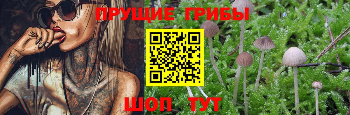 Галлюциногенные грибы Cubensis Воркута